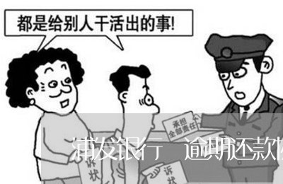 浦发银行 逾期还款协商/2023070905037